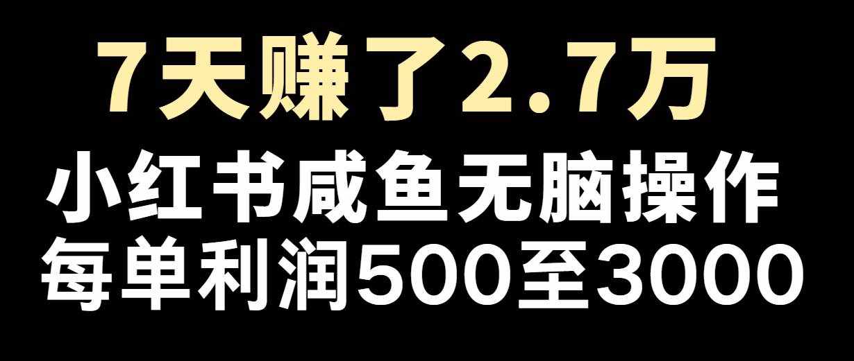 七天赚了2.7万！每单利润最少500+，轻松月入5万+小白有手就行-泰戈创艺资源库