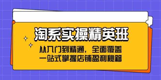 （12276期）淘系实操精英班：从入门到精通，全面覆盖，一站式掌握店铺盈利秘籍-泰戈创艺资源库