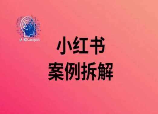 小红书案例拆解，深度解读小红书40万粉-泰戈创艺资源库