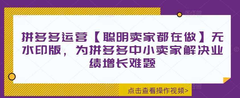拼多多运营【聪明卖家都在做】无水印版，为拼多多中小卖家解决业绩增长难题-泰戈创艺资源库