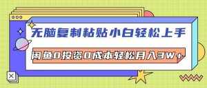 (12258期)无脑复制粘贴,小白轻松上手,电商0投资0成本轻松月入3W+-泰戈创艺资源库