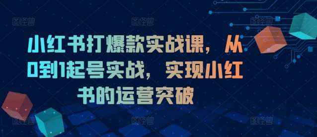 小红书打爆款实战课，从0到1起号实战，实现小红书的运营突破-泰戈创艺资源库