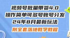 （12093期）24年8月最新玩法视频号批量带货4.0，操作简单可多号账号分发，附全套落…-泰戈创艺资源库