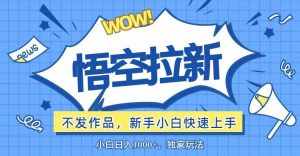 （12243期）悟空拉新最新玩法，无需作品暴力出单，小白快速上手-泰戈创艺资源库
