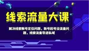 线索流量大课-解决线索账号定位问题，新号起号没流量问题，线索流量导进私域-泰戈创艺资源库