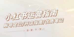 小红书运营指南,账号定位/开店指南/优质笔记/没有套路,全是经验-泰戈创艺资源库