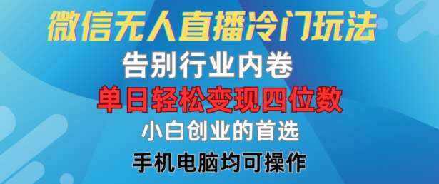 微信无人直播冷门玩法，告别行业内卷，单日轻松变现四位数，小白的创业首选【揭秘】-泰戈创艺资源库
