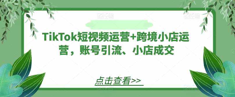 TikTok短视频运营+跨境小店运营，账号引流、小店成交-泰戈创艺资源库