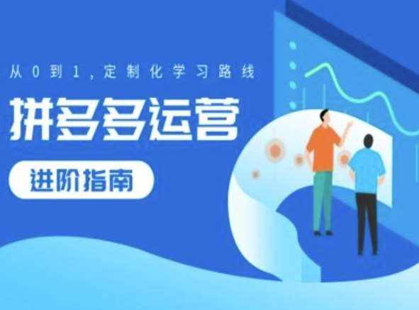 拼多多运营进阶指南，从0到1定制化学习路线-泰戈创艺资源库