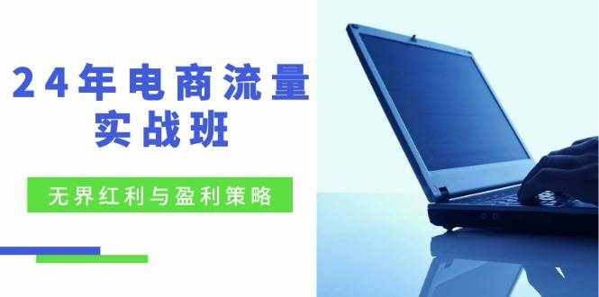 (12168期)24年电商流量实战班:无界 红利与盈利策略,终极提升/关键词优化/精准…-泰戈创艺资源库