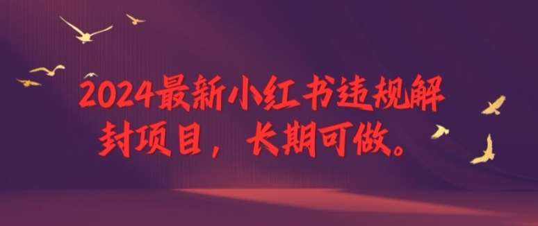 2024最新小红书违规解封项目，长期可做，一个可以做到退休的项目【揭秘】-泰戈创艺资源库