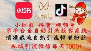 （12301期）小红书，抖音，视频号多平台全自动引流获客系统 精准截流自热引流精准…-泰戈创艺资源库