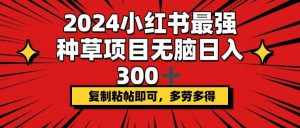 （12336期）2024小红书最强种草项目，无脑日入300+，复制粘帖即可，多劳多得-泰戈创艺资源库
