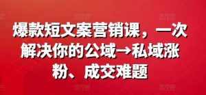 爆款短文案营销课,一次解决你的公域→私域涨粉、成交难题-泰戈创艺资源库