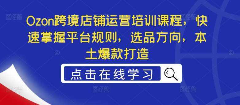 Ozon跨境店铺运营培训课程，快速掌握平台规则，选品方向，本土爆款打造-泰戈创艺资源库