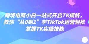 跨境电商小白一站式开启TK搞钱，教你“从0到1”学TikTok运营轻松掌握TK实操技能-泰戈创艺资源库
