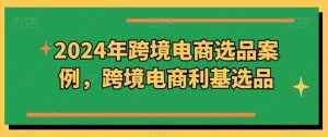 2024年跨境电商选品案例，跨境电商利基选品（更新）-泰戈创艺资源库