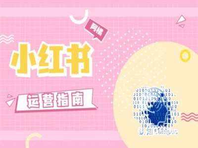 小红书运营指南，没有套路，全是经验-泰戈创艺资源库