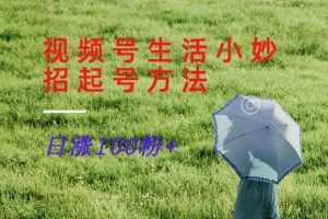 视频号生活小妙招分享赛道， 起号涨粉新方法，日涨100粉-泰戈创艺资源库