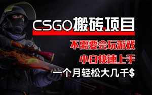 (12332期)CSGO 装备搬砖项目,操作简单,不需要会玩游戏,小白也能快速上手,一…-泰戈创艺资源库