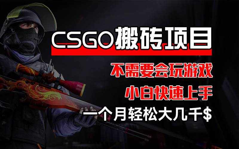 （12332期）CSGO 装备搬砖项目，操作简单，不需要会玩游戏，小白也能快速上手，一…-泰戈创艺资源库