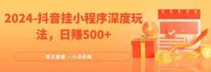 2024全网首次披露,抖音挂小程序深度玩法,日赚500+,简单、稳定,带渠道收入,小白必做【揭秘】-泰戈创艺资源库