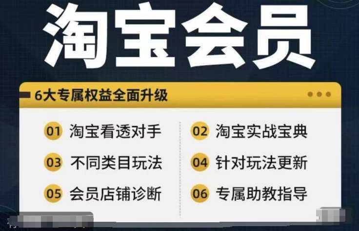 淘宝会员【淘宝所有课程，全面分析对手】，初级到高手全系实战宝典-泰戈创艺资源库
