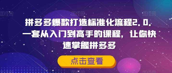 拼多多爆款打造标准化流程2.0，一套从入门到高手的课程，让你快速掌握拼多多-泰戈创艺资源库