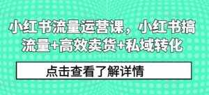 小红书流量运营课,小红书搞流量+高效卖货+私域转化-泰戈创艺资源库