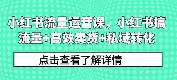 小红书流量运营课，小红书搞流量+高效卖货+私域转化-泰戈创艺资源库