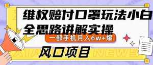 维权赔付口罩玩法，小白也能月入6w+，风口项目实操-泰戈创艺资源库