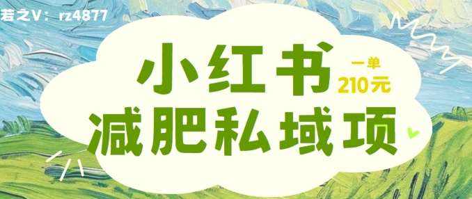 小红书减肥粉，私域变现项目，一单就达210元，小白也能轻松上手【揭秘】-泰戈创艺资源库