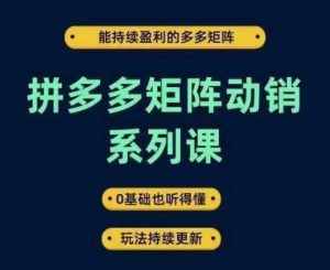拼多多矩阵动销系列课，能持续盈利的多多矩阵，0基础也听得懂，玩法持续更新-泰戈创艺资源库