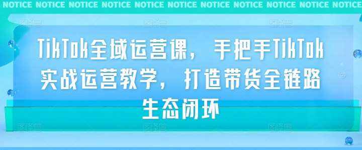 TikTok全域运营课，手把手TikTok实战运营教学，打造带货全链路生态闭环-泰戈创艺资源库