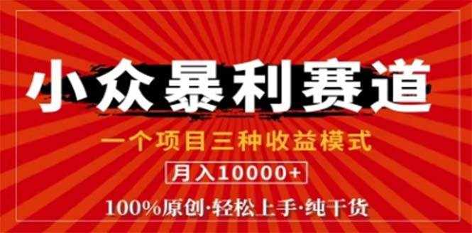 （12756期）视频号最新爆火赛道，三种可收益模式，0粉新号条条原创条条热门 日入1000+-泰戈创艺资源库