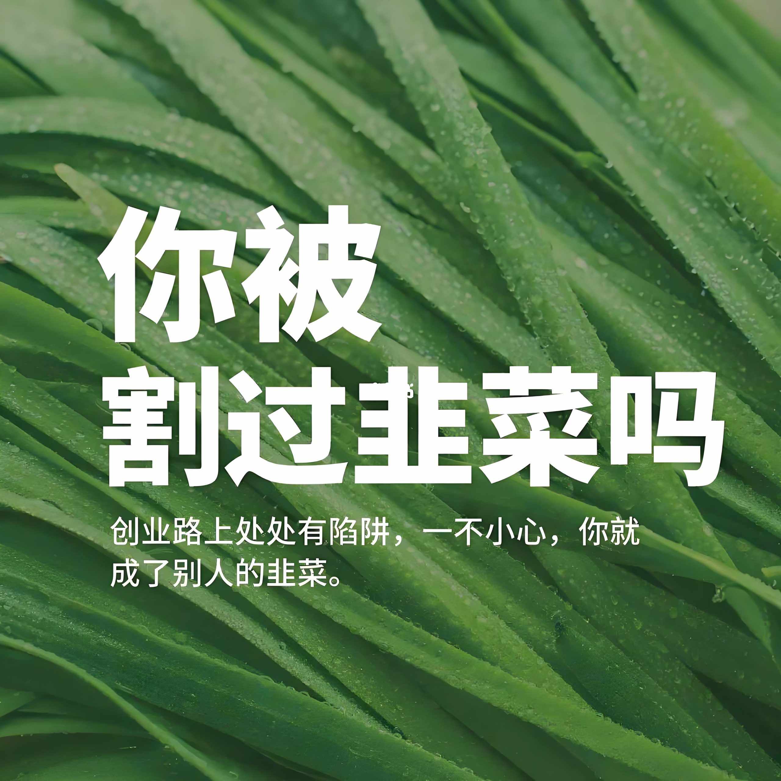成功并非偶然：找对人就是复制粘贴！-泰戈创艺资源库