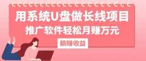 （12666期）用系统U盘做长线项目，推广软件轻松月赚万元（附制作教程+软件）-泰戈创艺资源库