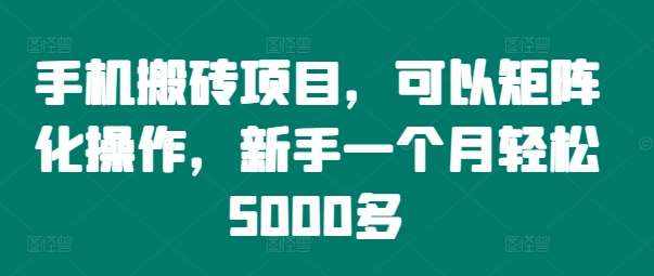 手机搬砖项目，可以矩阵化操作，新手一个月轻松5000多-泰戈创艺资源库