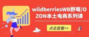 wildberriesWB野莓/OZON本土电商系列课，掌握WB产品优化，出单技巧和订单处理等-泰戈创艺资源库
