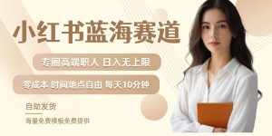 小红书蓝海赛道,圈中高端职场人,月入无上限,可矩阵,内含私域实操教程!-泰戈创艺资源库