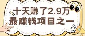 闲鱼小红书最赚钱项目之一,纯手机操作简单,小白必学轻松月入6万+-泰戈创艺资源库