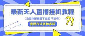 最新无人直播挂机教程，可自用可收徒，收益无上限，一天啥都不干光靠收徒变现5000+-泰戈创艺资源库
