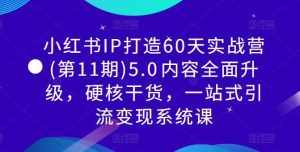小红书IP打造60天实战营(第11期)5.0内容全面升级,硬核干货,一站式引流变现系统课-泰戈创艺资源库