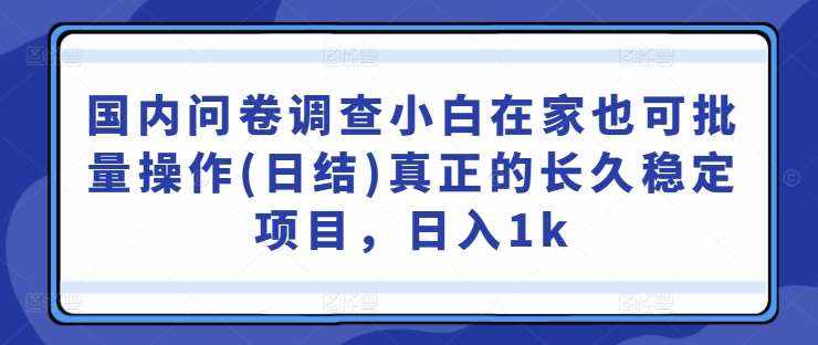 国内问卷调查小白在家也可批量操作(日结)真正的长久稳定项目，日入1k【揭秘】-泰戈创艺资源库