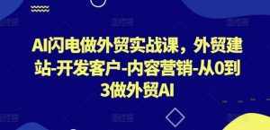AI闪电做外贸实战课，​外贸建站-开发客户-内容营销-从0到3做外贸AI（更新）-泰戈创艺资源库