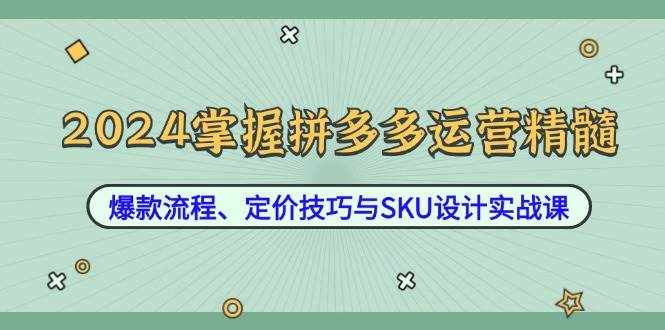 （12703期）2024掌握拼多多运营精髓：爆款流程、定价技巧与SKU设计实战课-泰戈创艺资源库