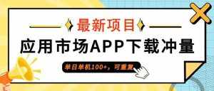 (12690期)单日单机100+,每日可重复,应用市场APP下载冲量-泰戈创艺资源库