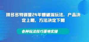 拼多多特训营24年爆破流玩法，产品决定上限，方法决定下限，各种玩法技巧落地实操-泰戈创艺资源库