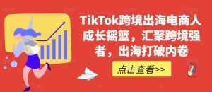 TikTok跨境出海电商人成长摇篮,汇聚跨境强者,出海打破内卷-泰戈创艺资源库