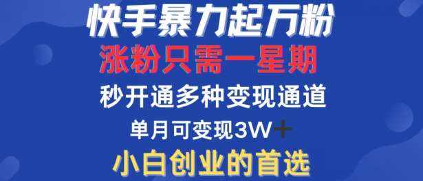 快手暴力起万粉，涨粉只需一星期，多种变现模式，直接秒开万合，单月变现过W【揭秘】-泰戈创艺资源库